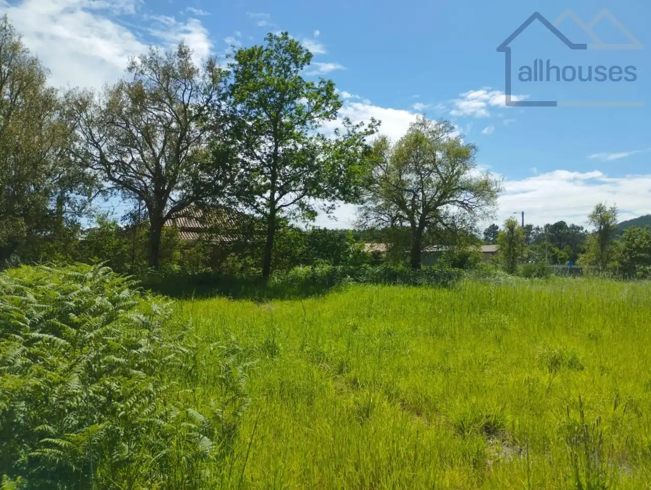 Terreno residenziale in vendita a O Rosal, imagen 5