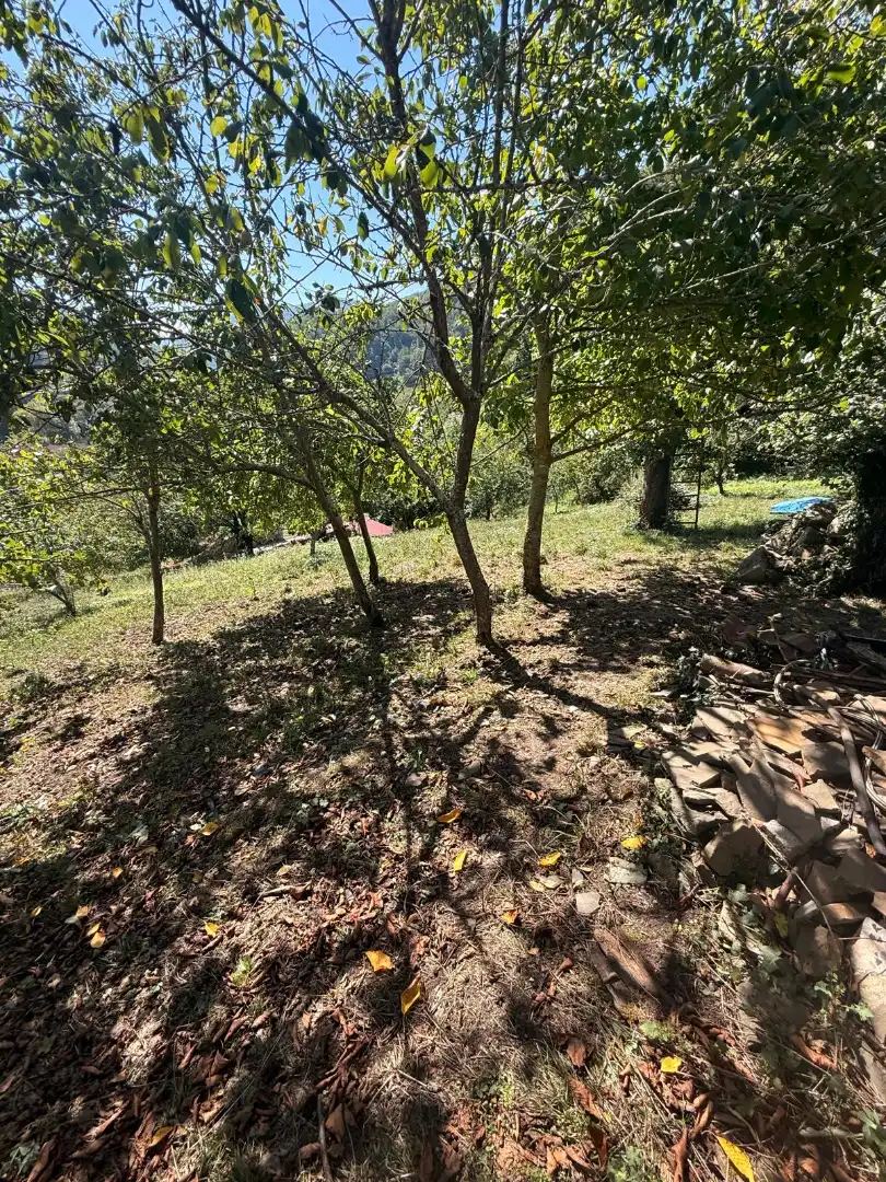 Maison jumelée avec jardin à vendre à Quirós, imagen 37