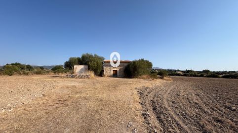 Foto 2 de Finca rústica en venta en Zona Periurbana, Inca
