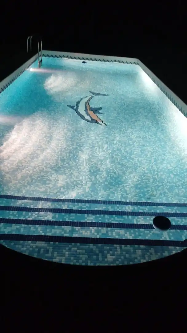 Piscina de Casa o xalet en venda en San Vicente del Raspeig / Sant Vicent del Raspeig amb Aire condicionat, Calefacció i Jardí privat