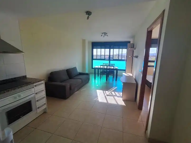 Living room of Flat for rent in Castellón de la Plana / Castelló de la Plana  with Storage room, Furnished and Oven