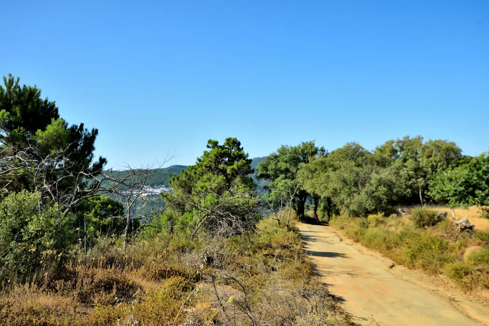 Terreno en venta en Calle Padre Francisco Rodríguez Gallego, 29, Cartajima