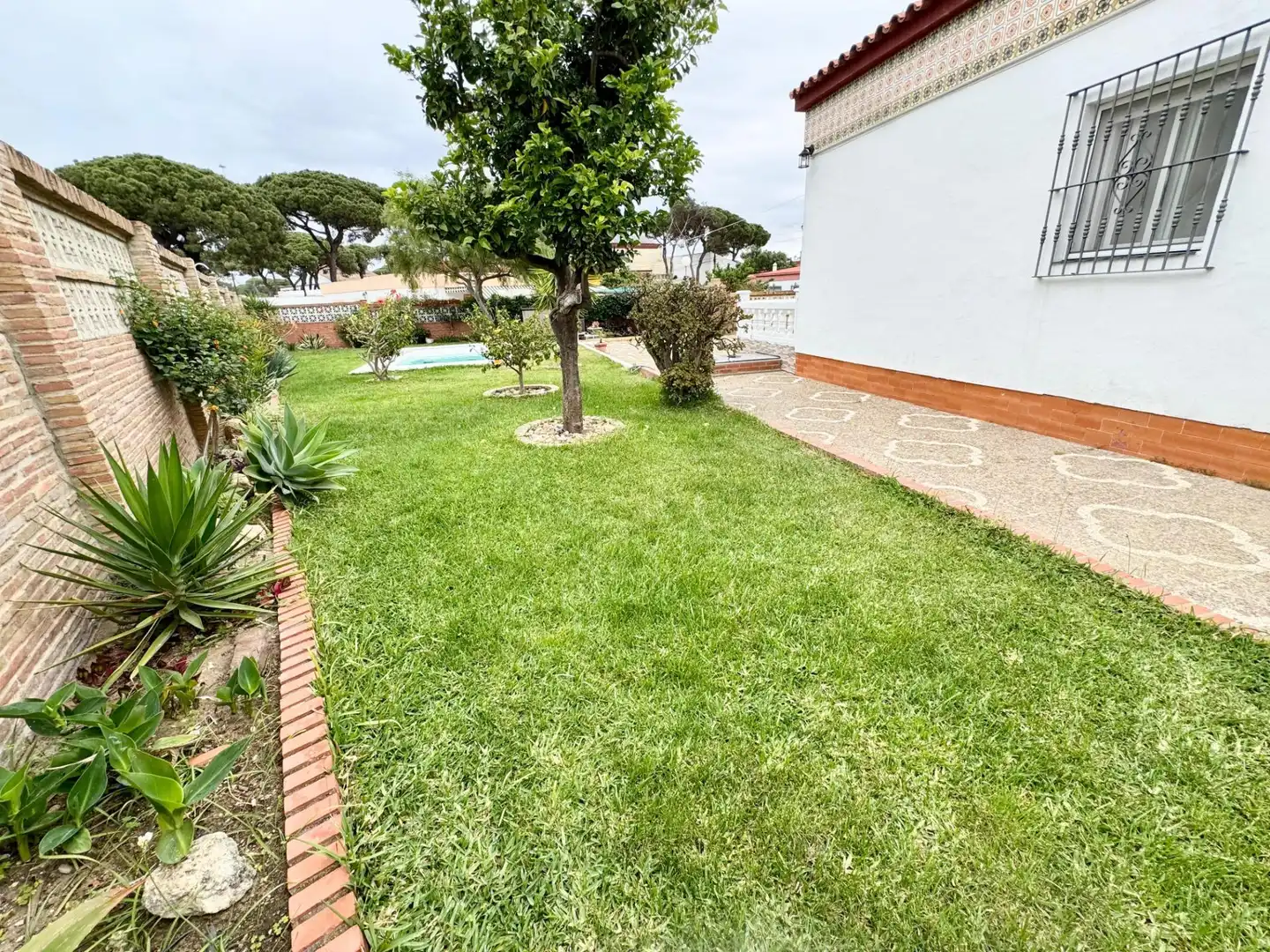 Jardín de Casa o chalet en venta en Punta Umbría con Terraza, Trastero y Piscina