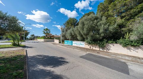 Foto 3 de Terreno en venta en Son Serra de Marina, Santa Margalida