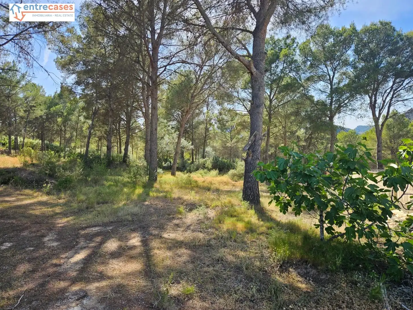 Residential land for sale in Gilet, imagen 18