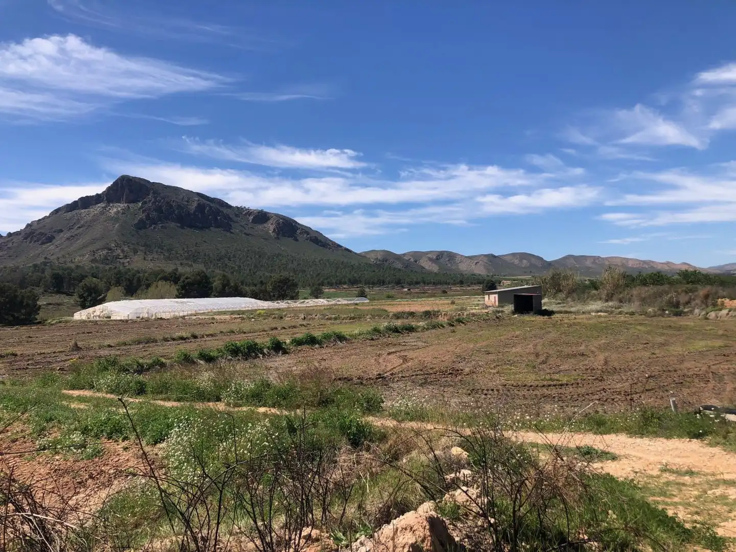 Terrenos y solares en venta en Hellín, imagen 2