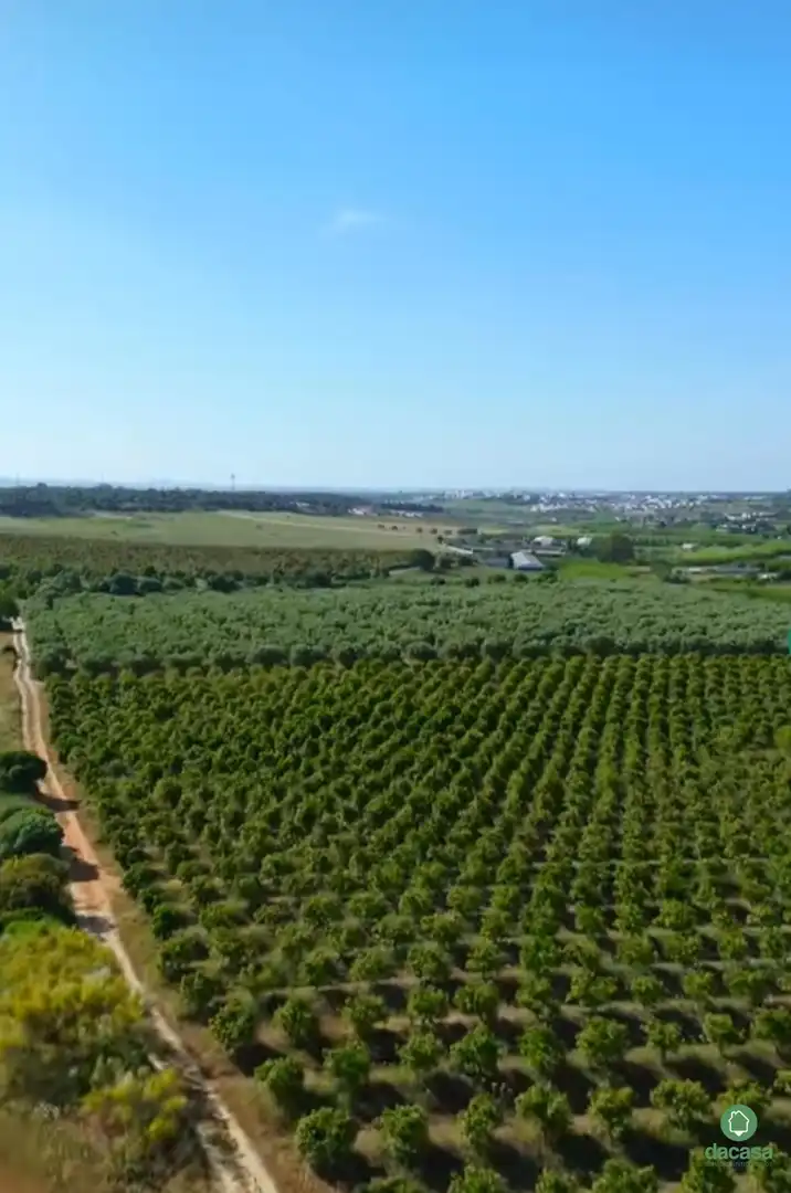 Terrenos y solares en venta en Núcleo urbano, imagen 3