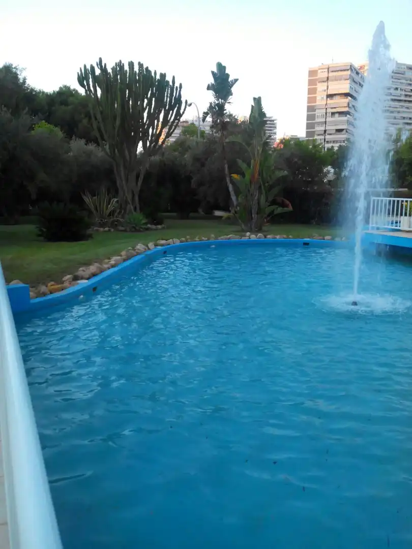 Piscina de Apartamento de alquiler en Alicante / Alacant con Terraza, Amueblado y Piscina comunitaria