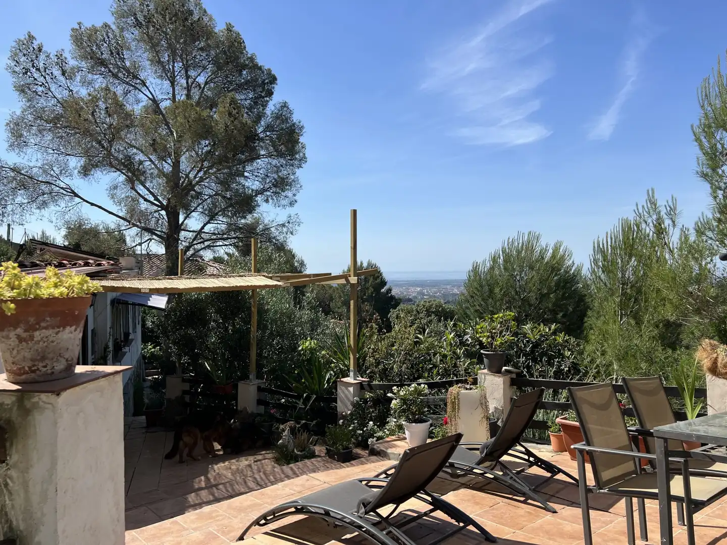 Casa o xalet en venda a ARBOLI, Almoster