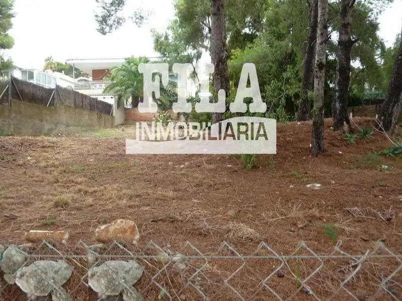 Rural land for sale in Bellamar, imagen 4