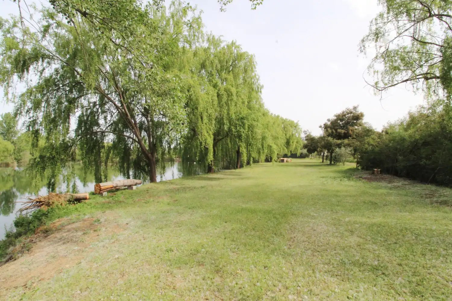 Chalet en venta en Malagón, imagen 26