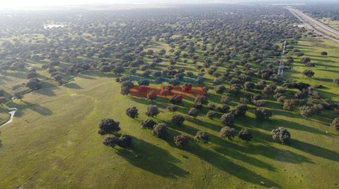 Foto 4 de Casa o xalet en venda a Saucedilla, Cáceres