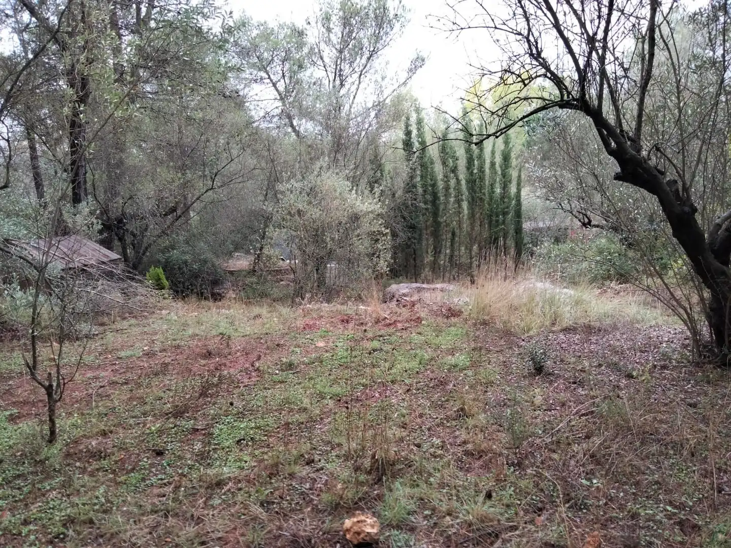 Rural land for sale in Vilallonga / Villalonga, imagen 5