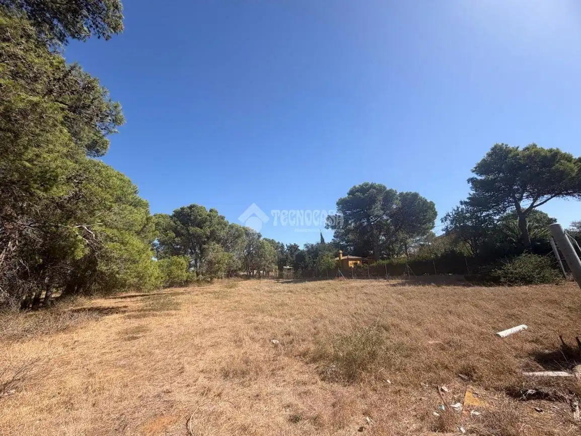 Terreny rústic en venda a Los Franceses – La Vega, imagen 15