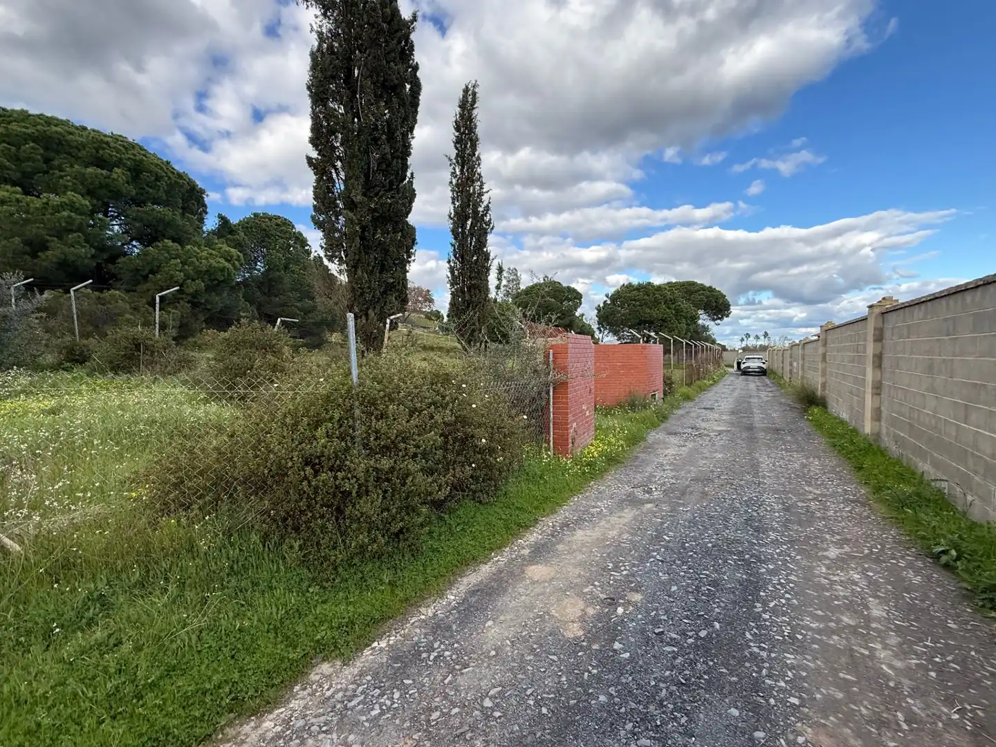 Terrenos y solares en venta en Las Palmillas, imagen 9