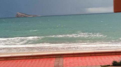 Foto 4 de Estudio en venta en Avenida del R Jaime, Centro Urbano, Benidorm