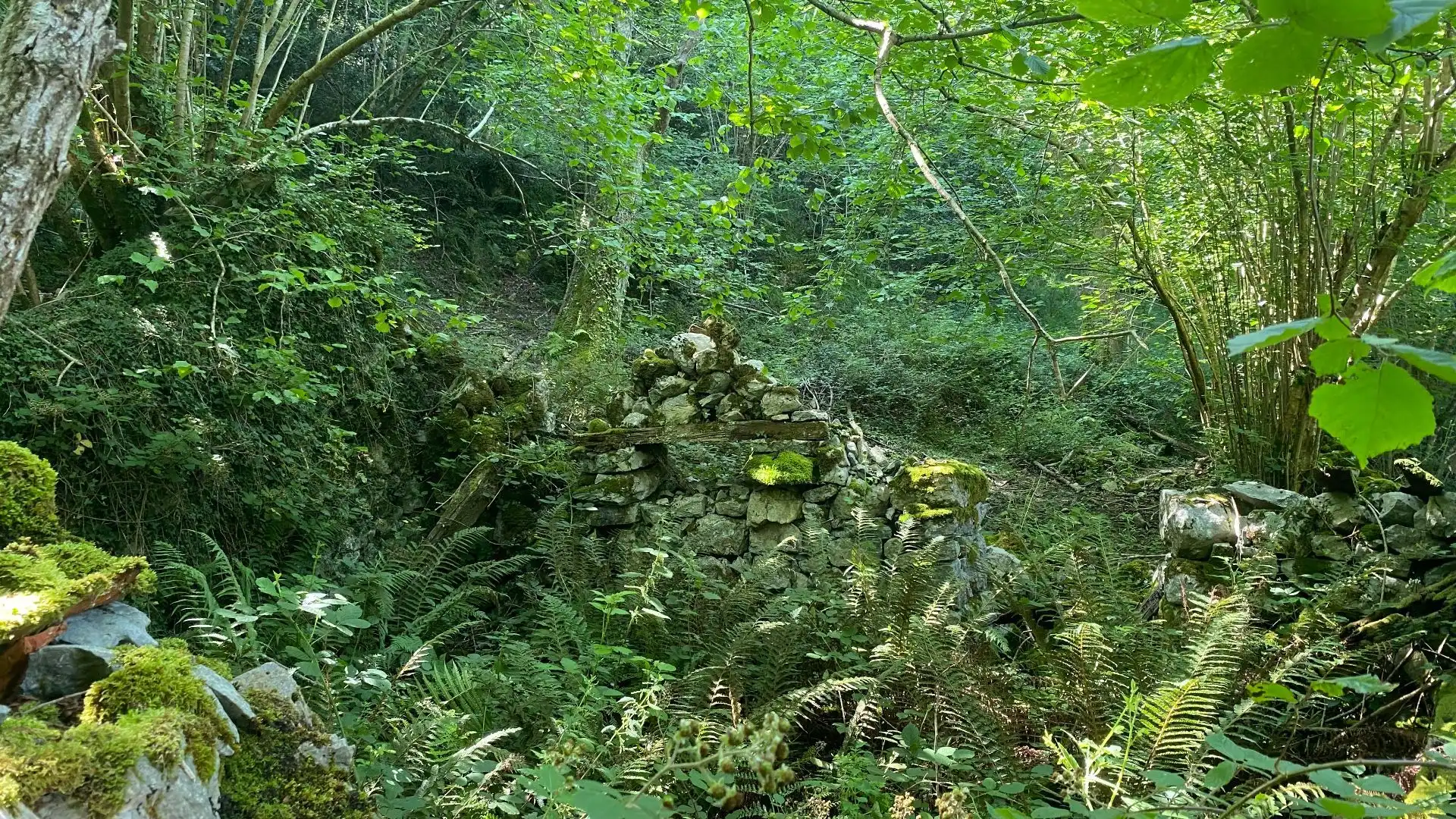 Terreno rustico in vendita a SEGÜENCO, imagen 22