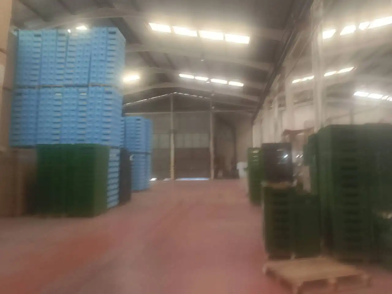 Nave industrial in vendita a Avenida Hort Mandarí 19, imagen 4