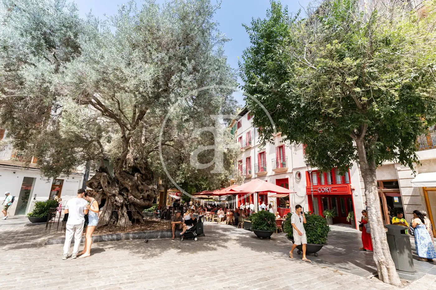 Vista exterior de Pis en venda en  Palma de Mallorca amb Aire condicionat, Calefacció i Moblat