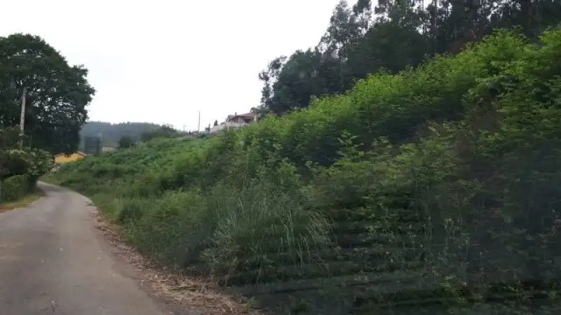 Terreni e lotti in vendita a Mazcuerras, imagen 10