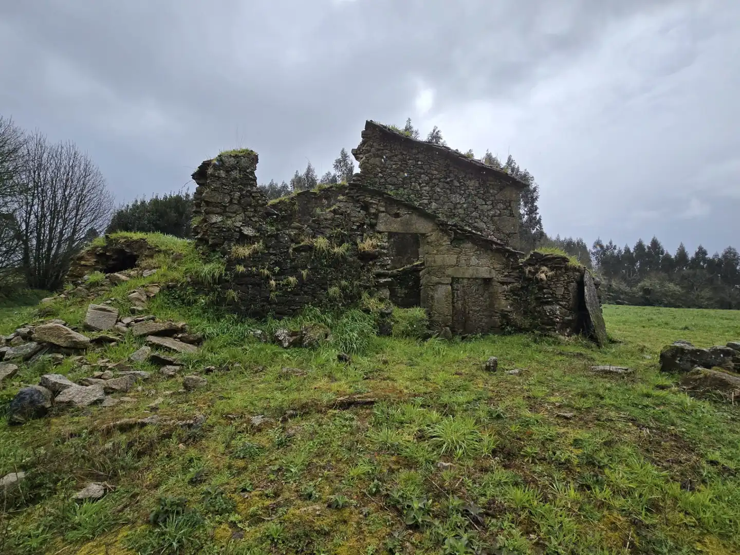 Vista exterior de Finca rústica en venda en Cerceda amb Jardí privat