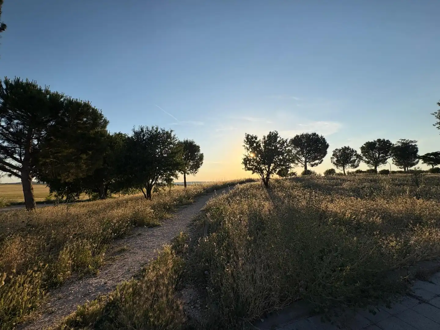 Casa o xalet en venda en Torres de la Alameda amb Aire condicionat, Calefacció i Jardí privat