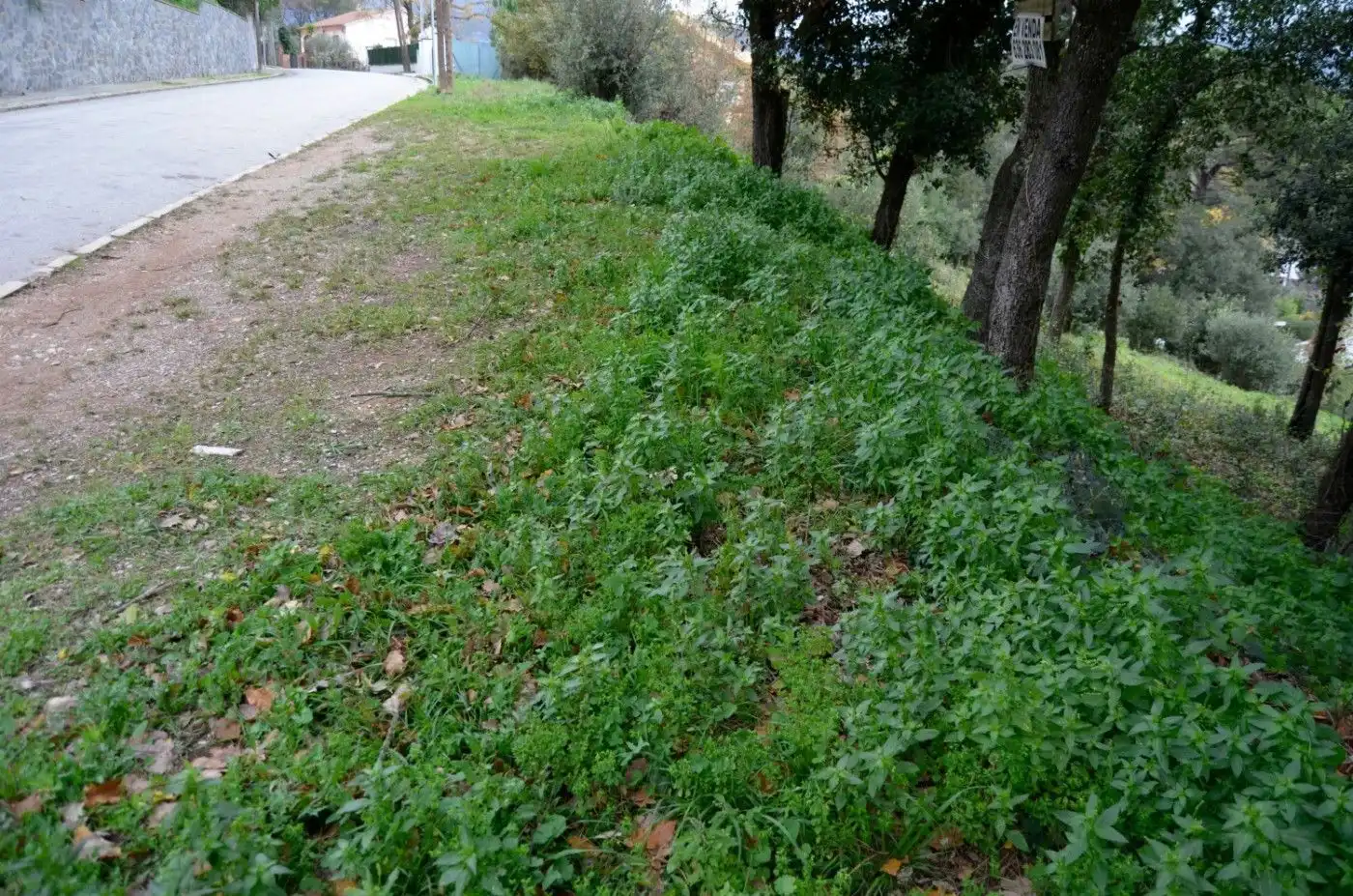 Terreny residencial en venda a Sant Pere de Vilamajor