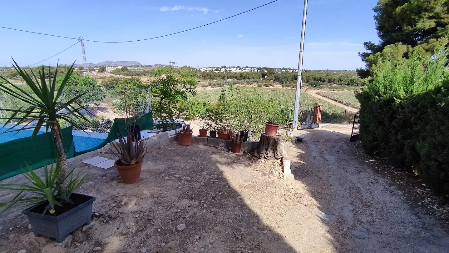 Casa o xalet en venda en Elche / Elx amb Piscina