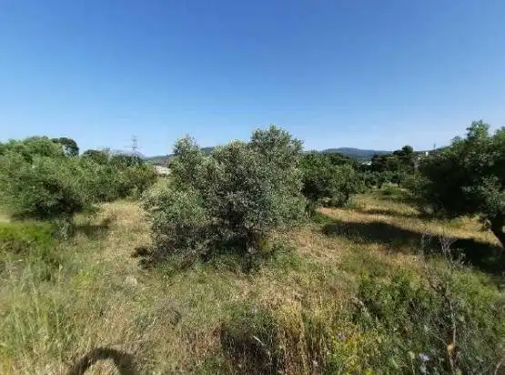Lands and plots for sale in Partida SECTOR SOLANA 1, imagen 6