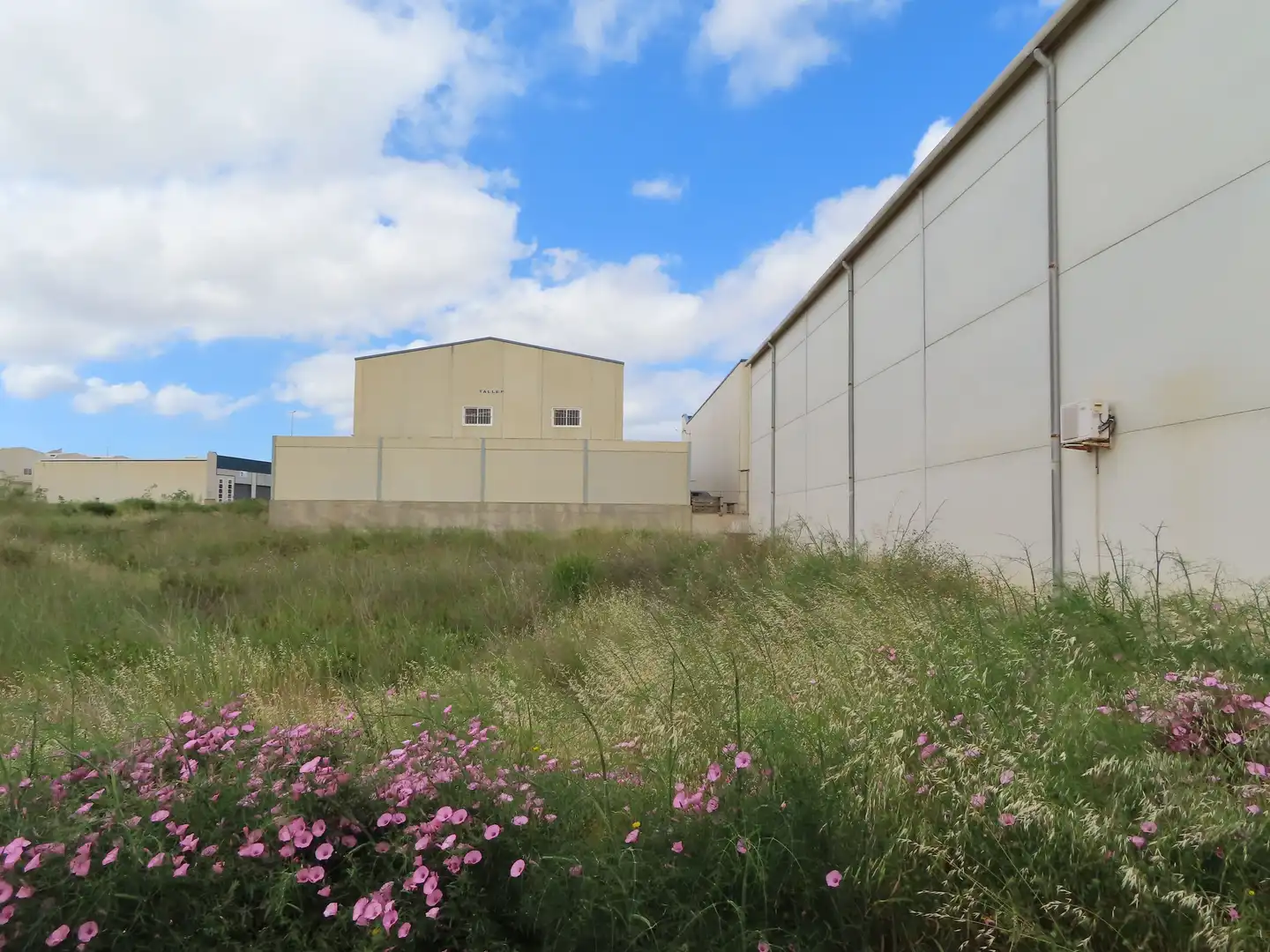 Industrial land for sale in La Unión ciudad, imagen 3