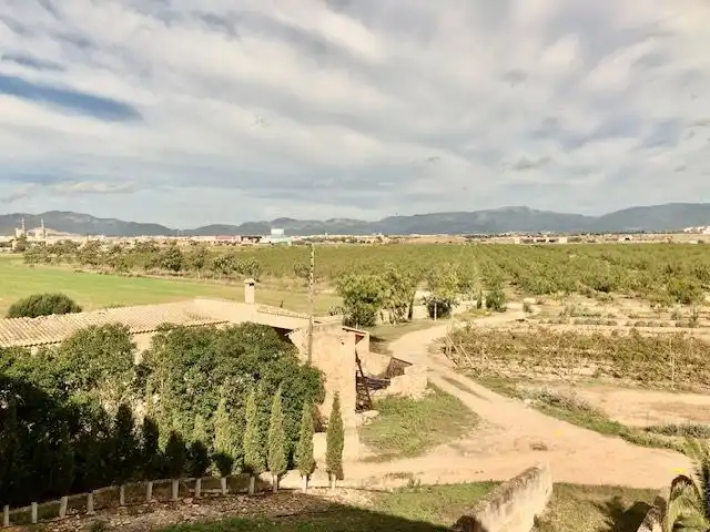 Casa rústica con terraza en venta en Llevant, imagen 35