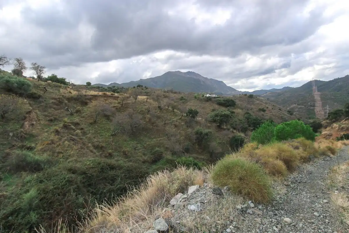 Terreno rustico in vendita a Monda, imagen 3