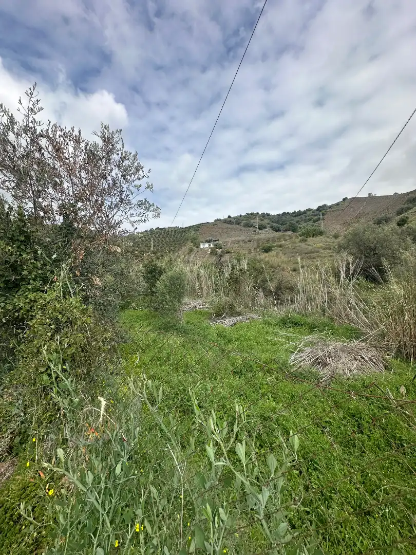 Finca rústica en venta en Iznate con Jardín privado