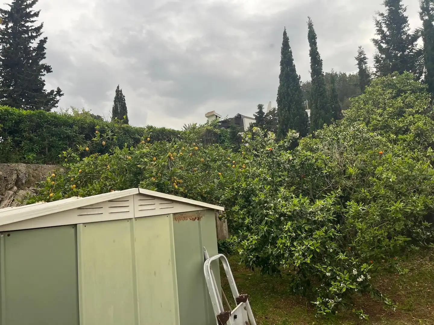 Casa en venta en Cap Martí - El Tossalet - Pinomar, imagen 35