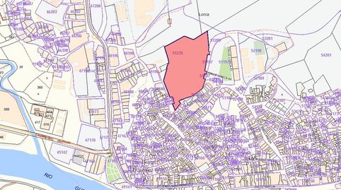 Solvia Inmobiliaria  Suelo urbanizable sectorizado Lorca, imatge 2