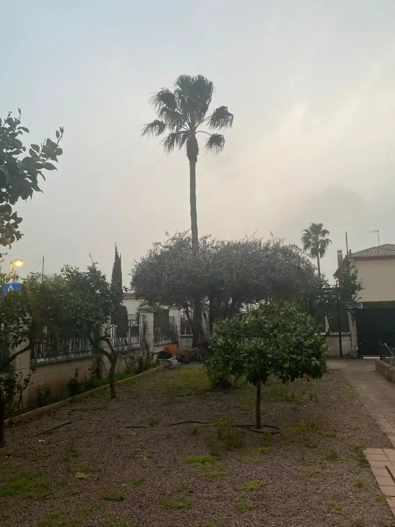Jardí de Casa o xalet en venda en Córdoba amb Aire condicionat, Calefacció i Jardí privat