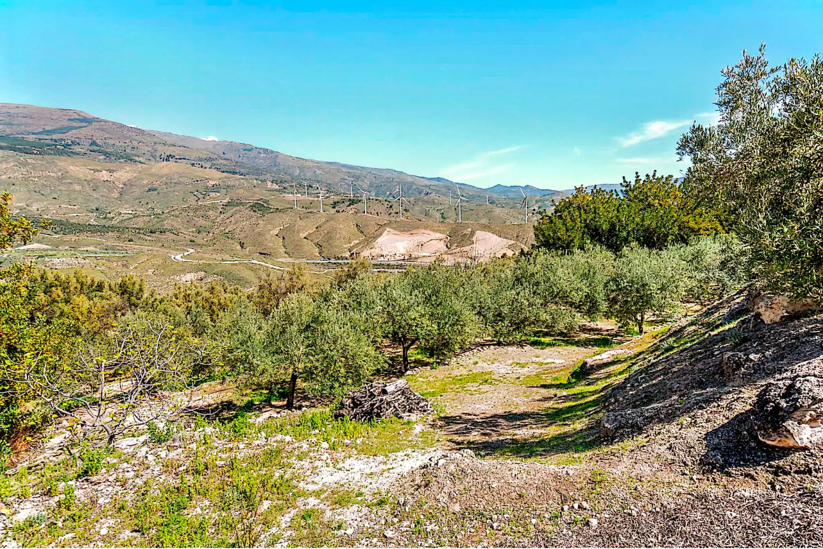Terrain rustique à vendre à El Pinar, imagen 21