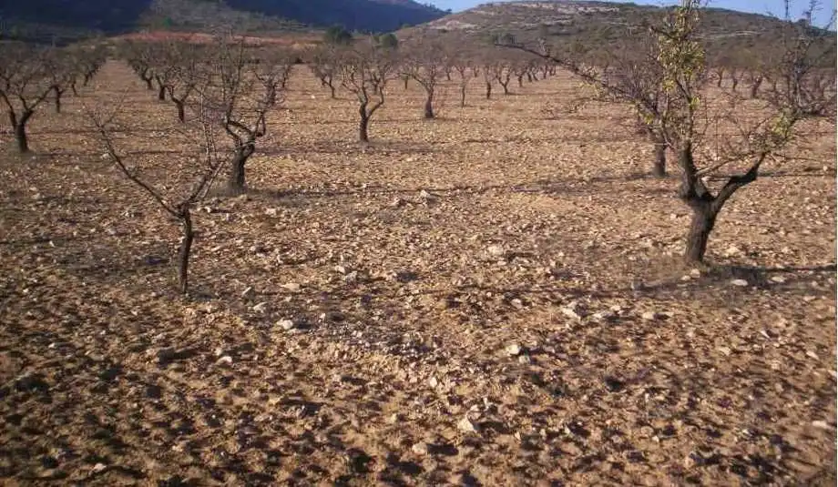 Rural land for sale in El Carril - Paseo de Chapi