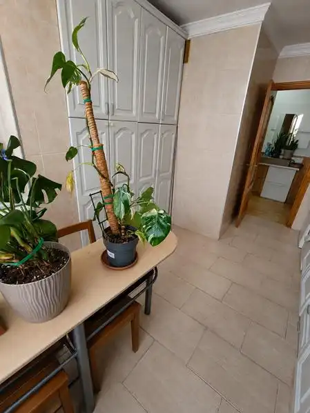 Wohnung mit Aufzug zum Verkauf in Estepona Pueblo, imagen 6