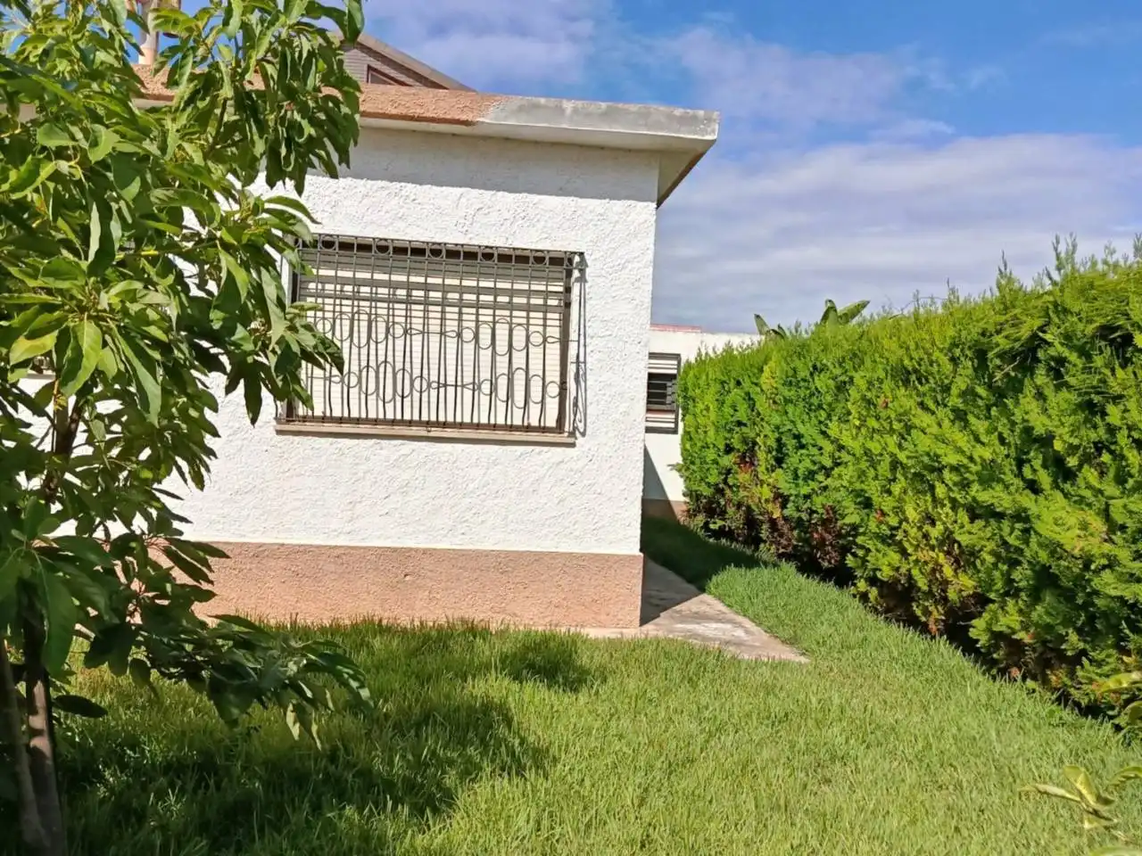 Jardí de Casa o xalet en venda en Vinaròs amb Jardí privat i Terrassa
