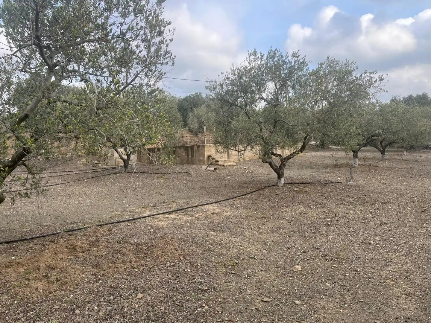 Xalet amb jardí en venda a Mestral, imagen 41