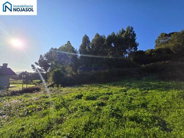 Terreno rústico en venta en Calle Soano Riegos