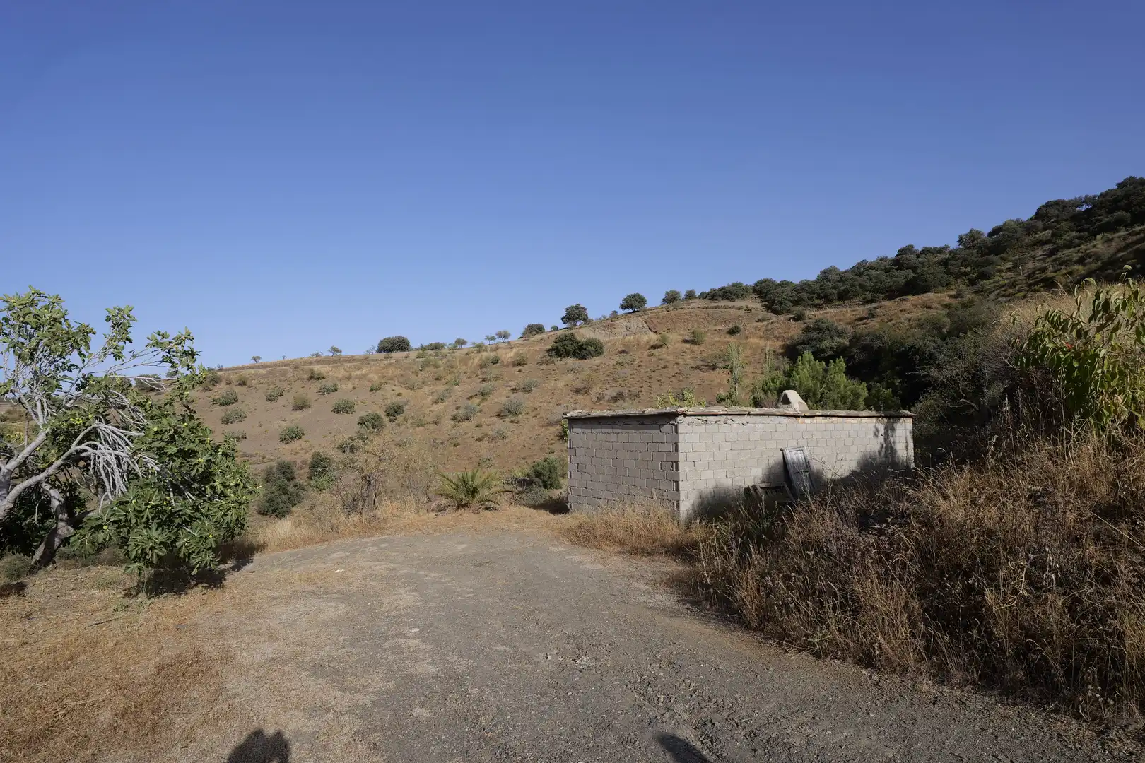 Finca rústica en venta en Cádiar