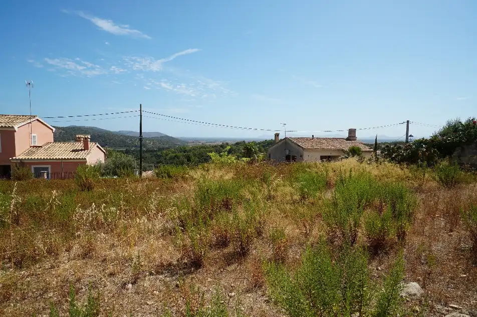 Terrain rustique à vendre à Campanet, imagen 13