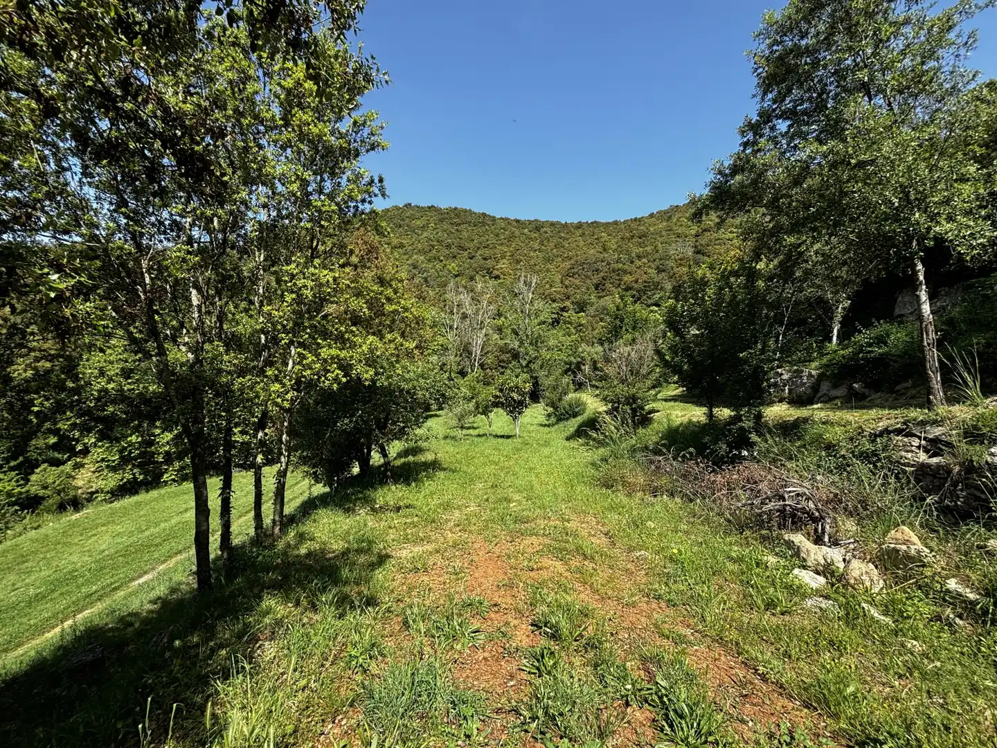 Country homes for sale in Sant Aniol de Finestres  with Terrace and Swimming Pool