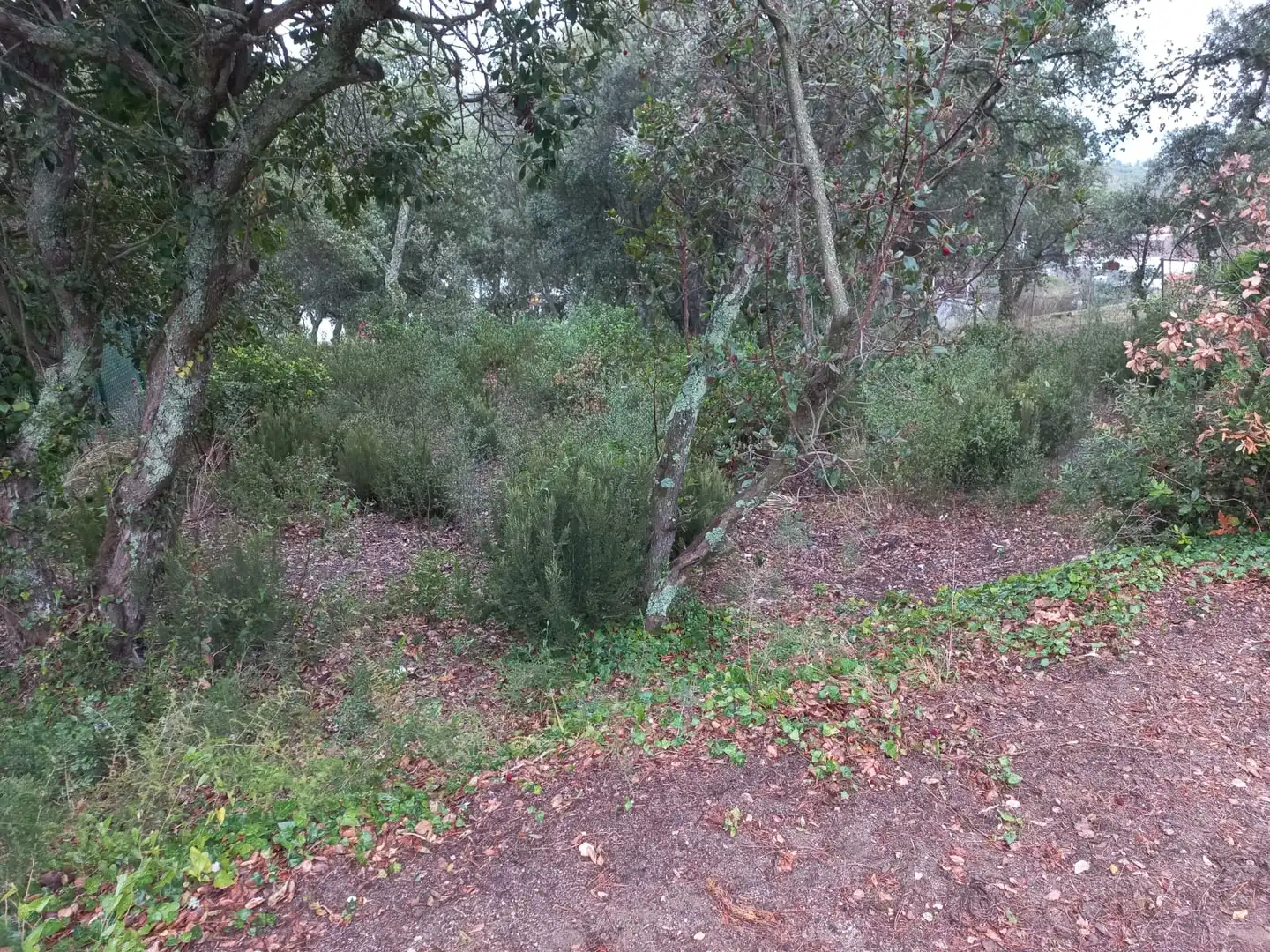 Residential for sale in Santa Cristina d'Aro