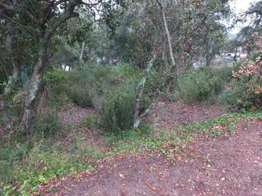 Terreno residencial en venta en Urbanitzacions del Nord