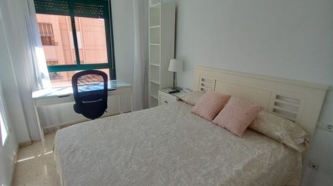 Foto 5 von Wohnung zur Miete in Calle Paco Miranda, El Ejido, Málaga Capital