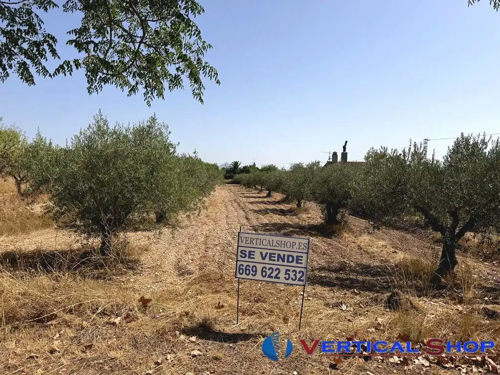 Terreno residencial en venta en Caudete, imagen 2