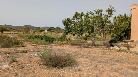 Foto 5 de Finca rústica en venta en Sa Casa Blanca, Illes Balears